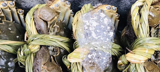 大闸蟹怎么保存才不死
